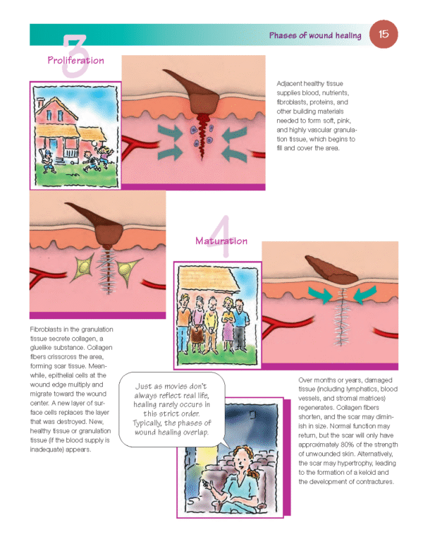 Wound Care Essentials - Image 5