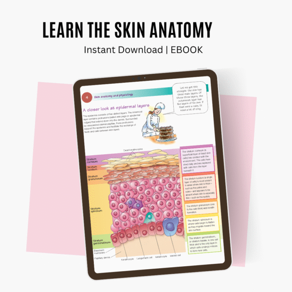 Wound Care Essentials - Image 3